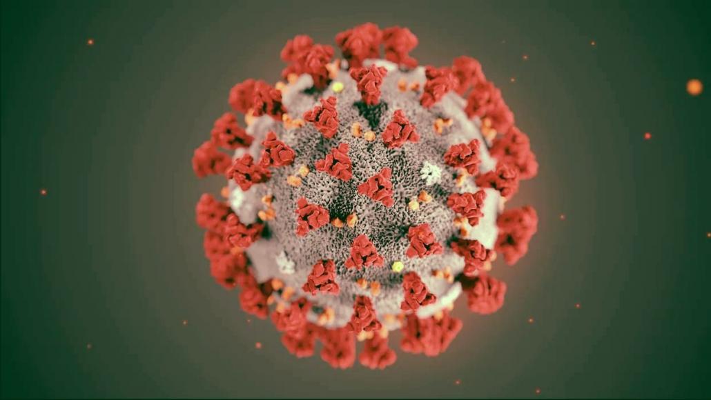 Photo d'illustration du Covid-19 (REUTERS / CENTERS FOR DISEASE CONTROL) Photo d'illustration du Covid-19 (REUTERS / CENTERS FOR DISEASE CONTROL)