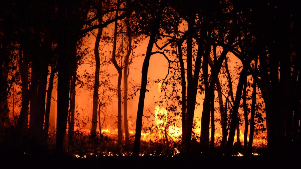 Un feu de forêt (image d'illustration). DR