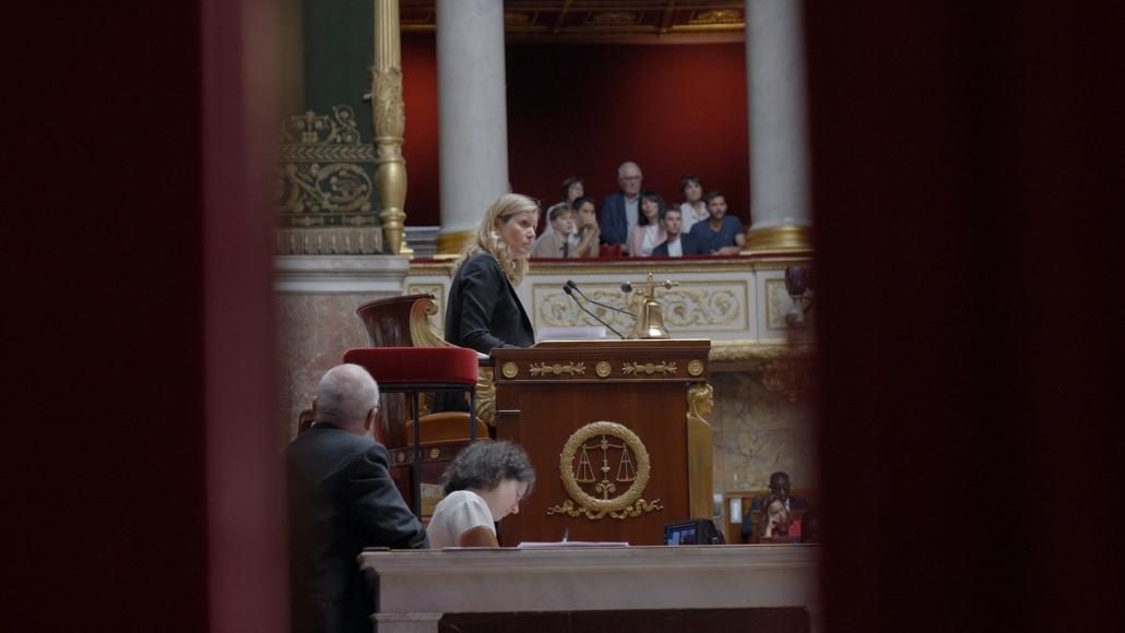 Assemblée nationale, anatomie d'une crise