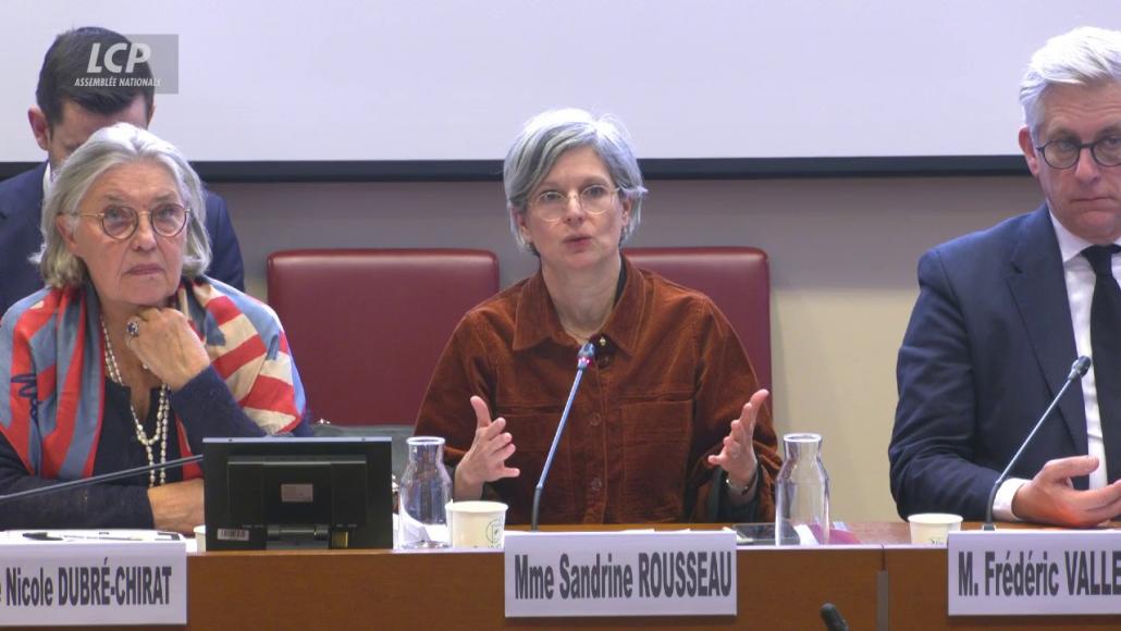 Rousseau et Dubré-Chirat rapport urgences psychiatriques