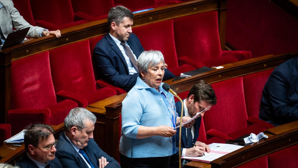 Marie-Christine Dalloz à l'Assemblée nationale