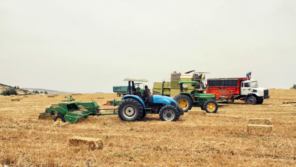 Agriculture blé PxHere 10/02/2025
