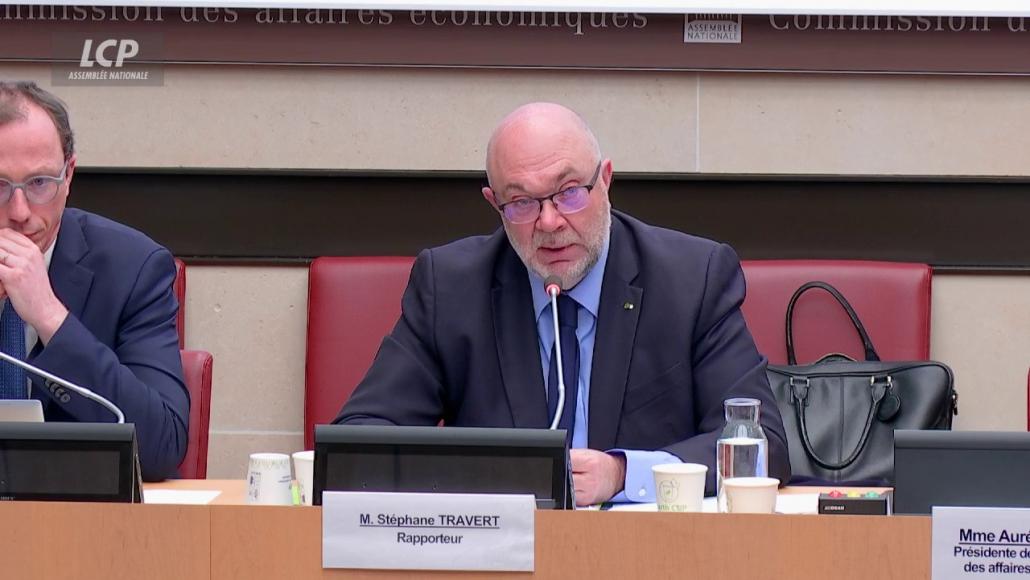 Stéphane Travert en commission des affaires économiques, le 11 mars 2025