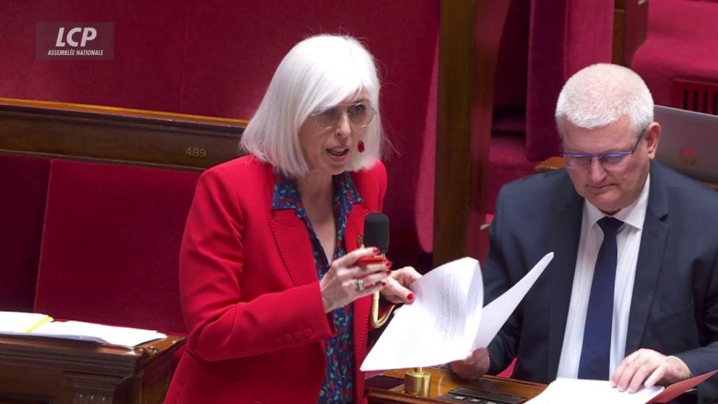 Brigitte Liso dans l'hémicycle, le 20 mai 2025