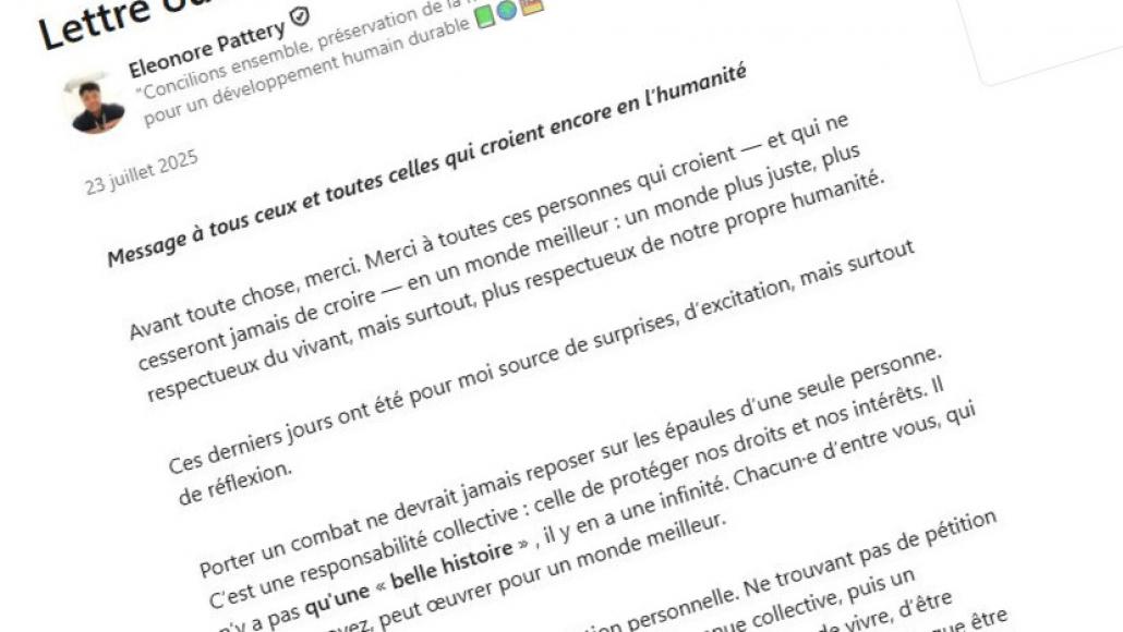 Capture d'écran de la lettre ouverte de Eleonore Pattery.