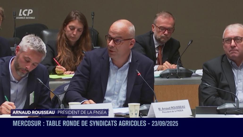 "UN VÉRITABLE AGRICIDE" : DÉPUTÉS ET SYNDICATS AGRICOLES HOSTILES À L'ACCORD UE-MERCOSUR