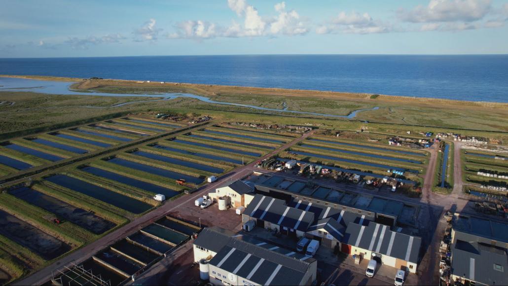 Notre futur a de l'avenir, ces initiatives en Normandie pour vivre mieux