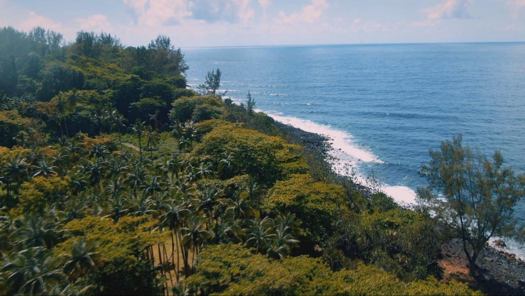 Notre futur a de l'avenir-Ces initiatives à La Réunion pour vivre mieux 