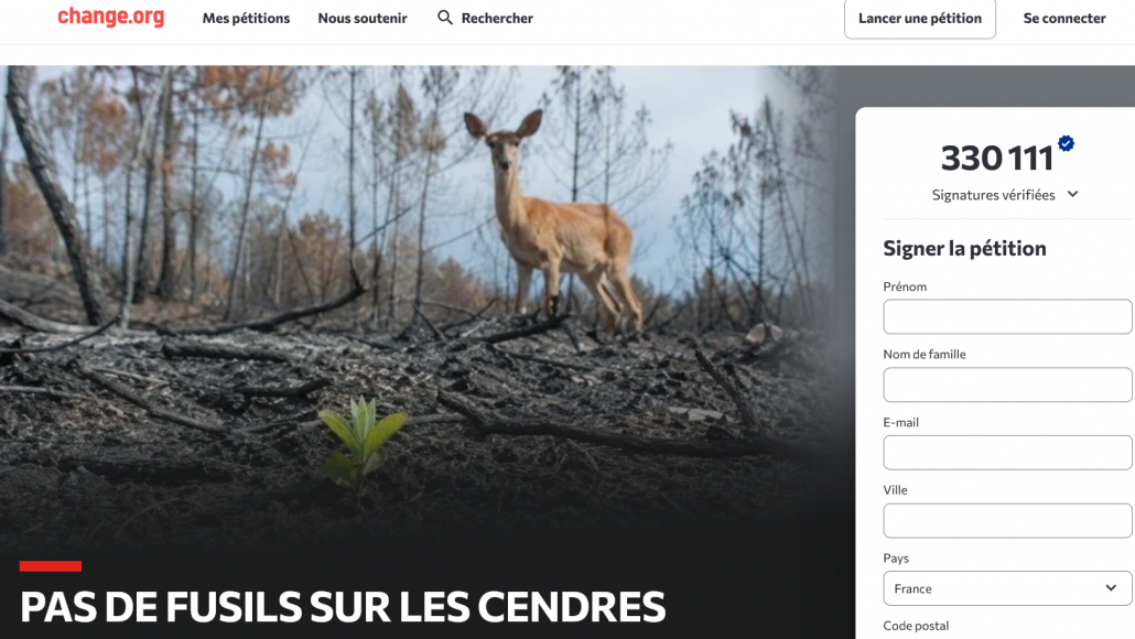 Pétition Pas de fusils sur les cendres