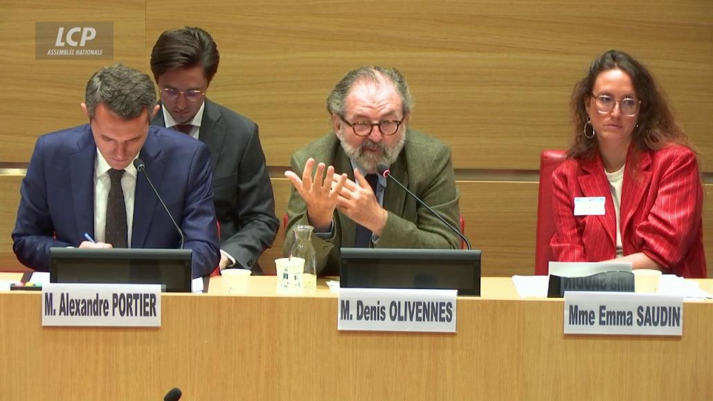 Denis Olivennes