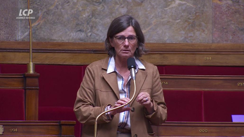 La députée Agnès-Firmin-Le Bodo (Horizons)