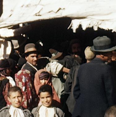 L'Algérie sous Vichy