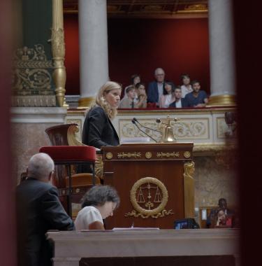 Assemblée nationale, anatomie d'une crise