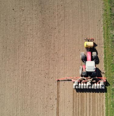 Insecticide, comment l'agrochimie a tué les insecte 
