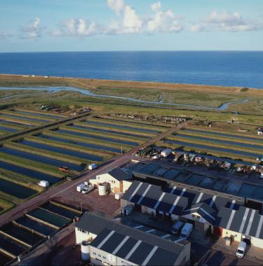 Notre futur a de l'avenir, ces initiatives en Normandie pour vivre mieux