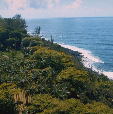 Notre futur a de l'avenir-Ces initiatives à La Réunion pour vivre mieux 