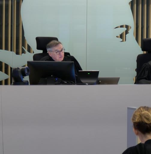 Audience de la chambre de l’instruction sur l’irresponsabilité pénale 