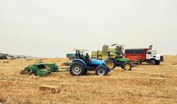 Agriculture blé PxHere 10/02/2025