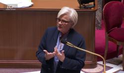 Catherine Vautrin dans l'hémicycle, le 17 mai 2025