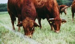 Image d'illustration (CC -Markus Spiske via Pexels)