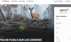 Pétition Pas de fusils sur les cendres