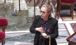 La rapporteure générale du texte, la socialiste Céline Thiébault-Martinez