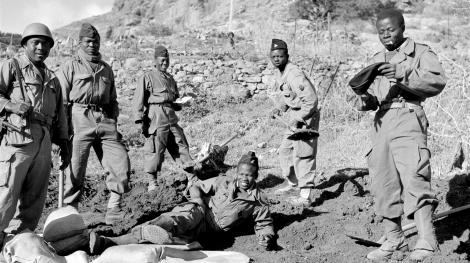 Les derniers tirailleurs Les derniers tirailleurs