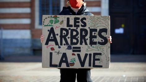Une manifestation à Toulouse pour le climat