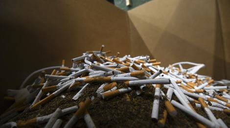 Lot de cigarettes de contrefaçon saisi en Belgique, le 4 août 2021 (AFP)