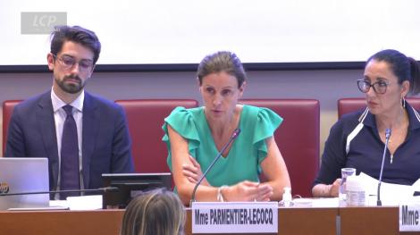 Charlotte Parmentier-Lecocq, à l'Assemblée nationale le 13 juillet 2022.