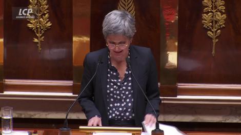 Sandrine Rousseau, 6 avril 2023 (Assemblée nationale) Sandrine Rousseau, 6 avril 2023 (Assemblée nationale)