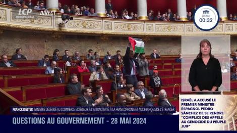 Le député LFI Sébastien Delogu brandit un drapeau de la Palestine au sein de l'hémicycle de l'Assemblée nationale.