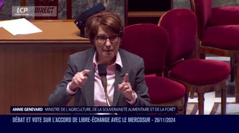 Annie Genevard LCP 26/11/2024