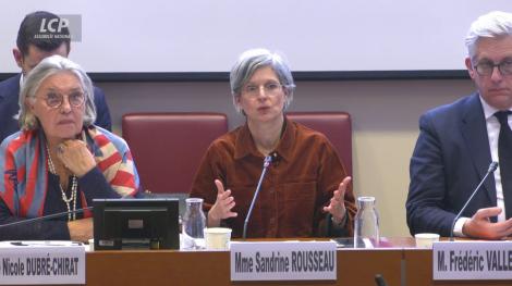 Rousseau et Dubré-Chirat rapport urgences psychiatriques