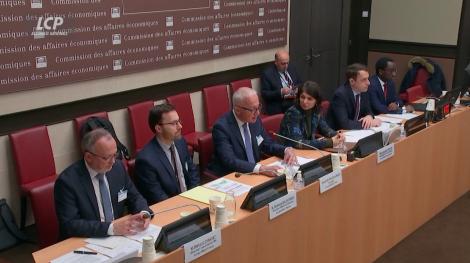 Alain Le Grix de la Salle, président d’ArcelorMittal France en commission des affaires économiques le 22 janvier 2025