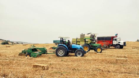 Agriculture blé PxHere 10/02/2025