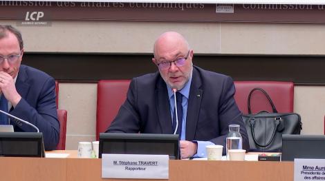 Stéphane Travert en commission des affaires économiques, le 11 mars 2025