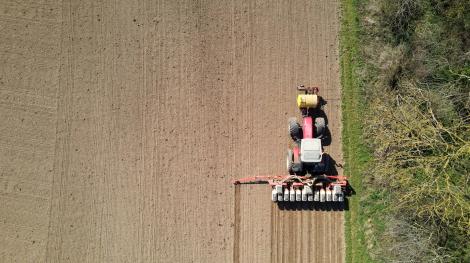 Insecticide, comment l'agrochimie a tué les insecte  Insecticide, comment l'agrochimie a tué les insecte