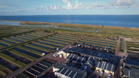 Notre futur a de l'avenir, ces initiatives en Normandie pour vivre mieux