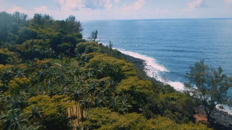 Notre futur a de l'avenir-Ces initiatives à La Réunion pour vivre mieux 