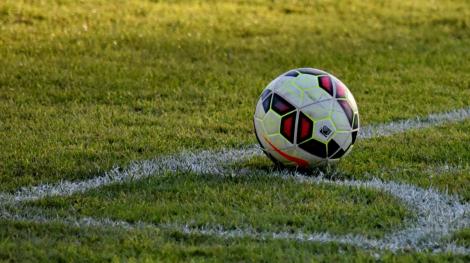 Un ballon de football sur un terrain (illustration / Pixnio / Bicanski)