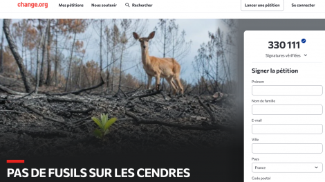 Pétition Pas de fusils sur les cendres
