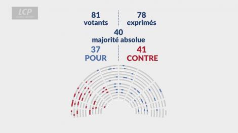 Résultat du vote sur l'article 11 du projet de loi sur la protection de l'enfance, le 17 juillet 2026