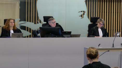 Audience de la chambre de l’instruction sur l’irresponsabilité pénale 