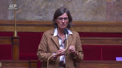 La députée Agnès-Firmin-Le Bodo (Horizons)