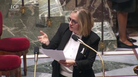 La rapporteure générale, la socialiste Céline Thiébault-Martinez.