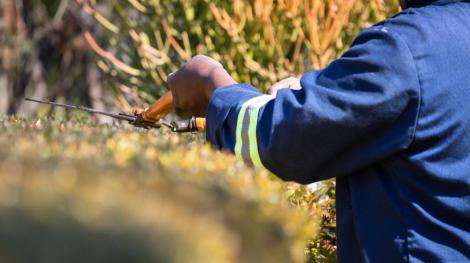 Image d'illustration.