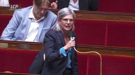 Sandrine Rousseau, le 23 octobre 2026.