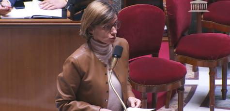 Agnès Firmin Le Bodo, le 12 décembre 2023, à l'Assemblée nationale.
