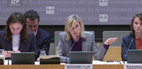 Agnès Pannier-Runacher, ministre de la Transition écologique à l'Assemblée nationale, le 16 octobre 2024. LCP